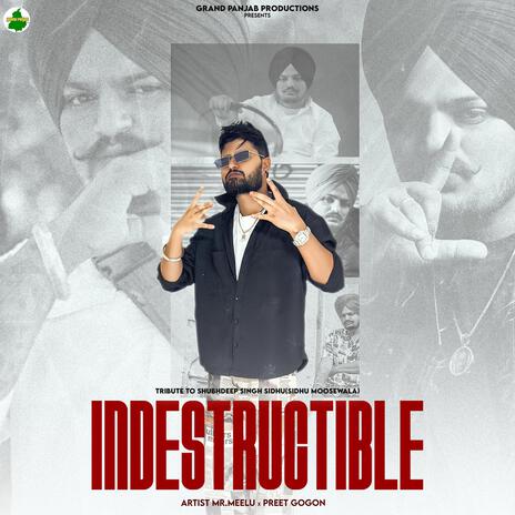 Indestructible Moose | Boomplay Music