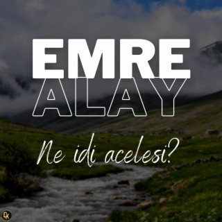 Ne İdi Acelesi? lyrics | Boomplay Music