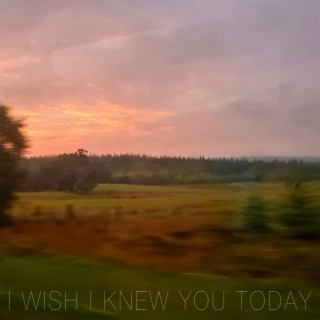 I Wish I Knew You Today