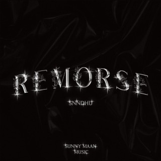 Remorse lyrics | Boomplay Music