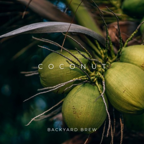 Coconut | Boomplay Music