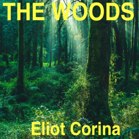 The Woods | Boomplay Music