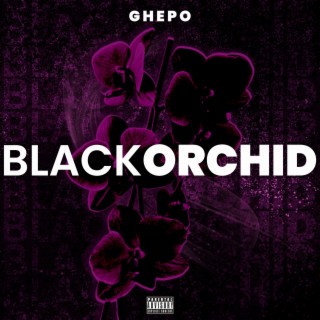 Black Orchid