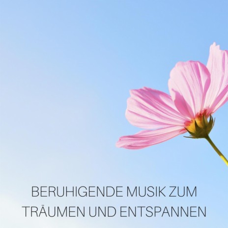 Begegnung mit sich selbst | Boomplay Music