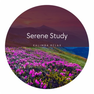 Serene Study: Concentration Music