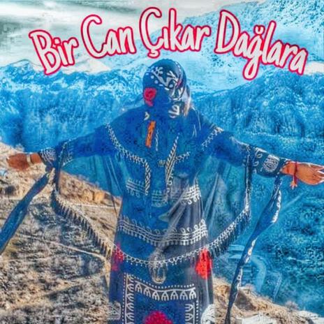 Bir can çıkar dağlara