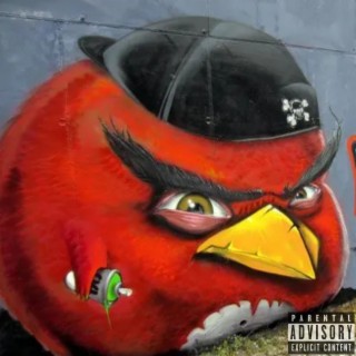 Angry Birdz