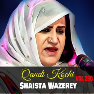 Shaista Wazerey, Vol. 230