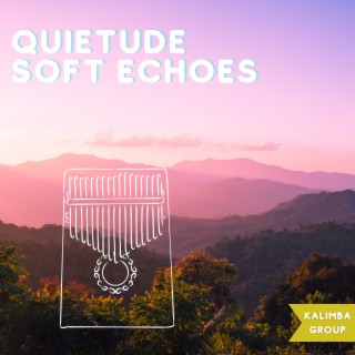 Quietude: Soft Echoes