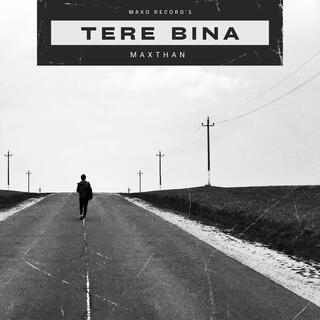 Tere bina