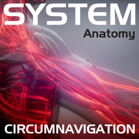 System anatomy: Circumnavigation | Boomplay Music