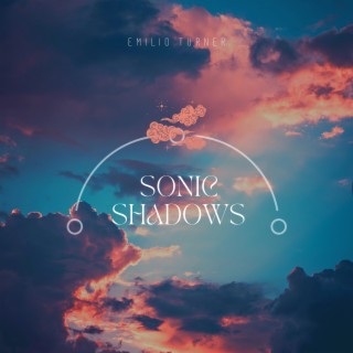 Sonic Shadows: Melodies in the Moonlight