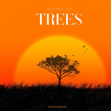 Sound of Trees | Boomplay Music