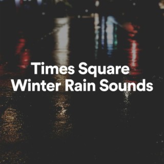 Times Square Winter Rain Sounds