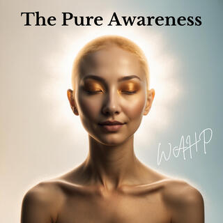 The Pure Awareness lyrics | Boomplay Music