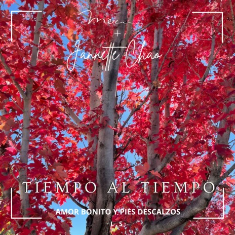 Tiempo al Tiempo (Amor Bonito y Pies Descalzos) ft. Jannette Chao | Boomplay Music