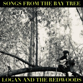 Songs From the Bay Tree