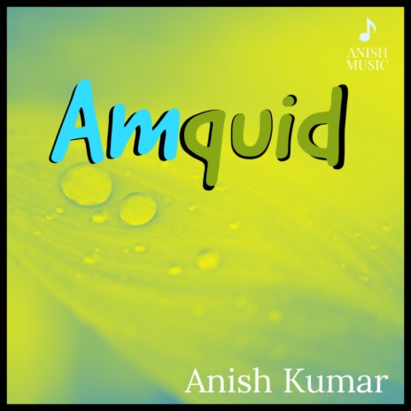 Amquid | Boomplay Music