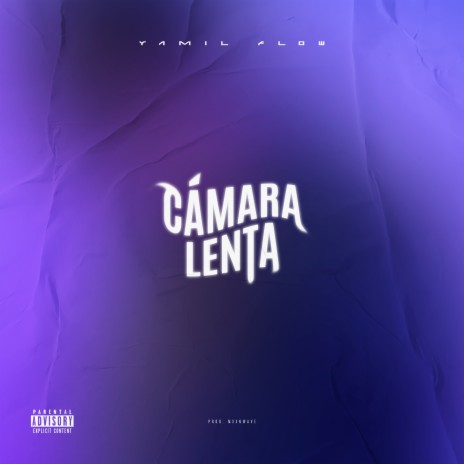 CÁMARA LENTA | Boomplay Music