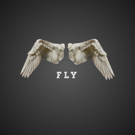 Fly ft. KaalaH | Boomplay Music