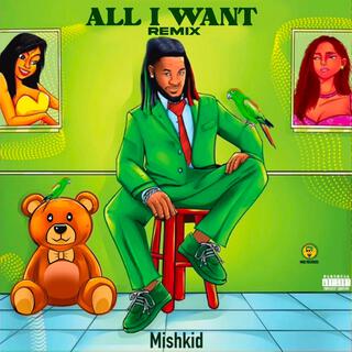 All I Want (remix) lyrics | Boomplay Music