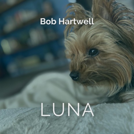 Luna | Boomplay Music