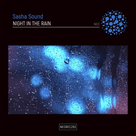Night In The Rain | Boomplay Music