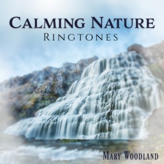 Calming Nature Ringtones (Rain, Waves & Waterfall)
