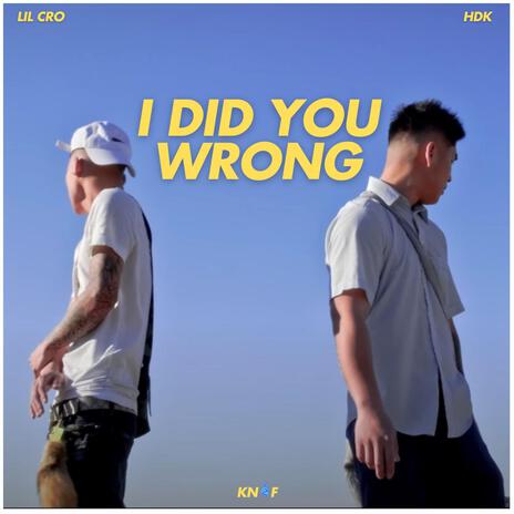 I Did You Wrong | Boomplay Music