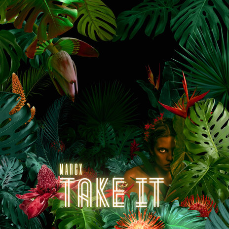 Take It | Boomplay Music