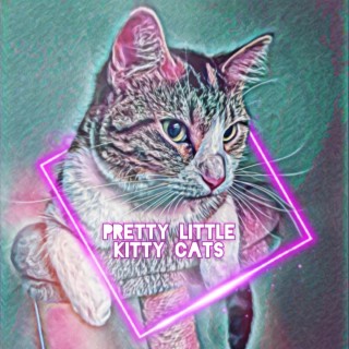 pretty little kitty cats