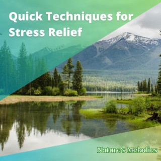 Quick Techniques for Stress Relief