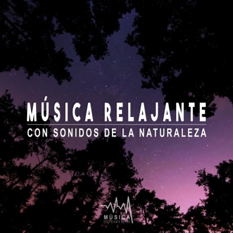 Meditacion: Musica Ambiental, Pt. 03 | Boomplay Music