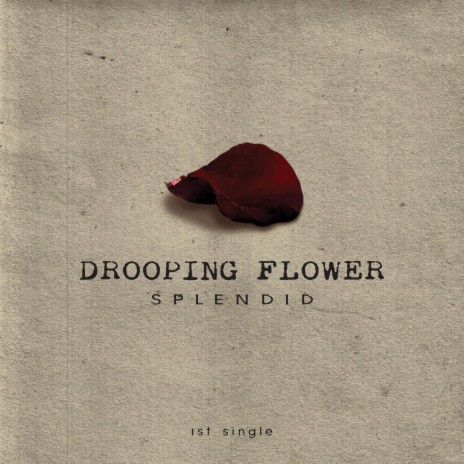 Drooping Flower | Boomplay Music