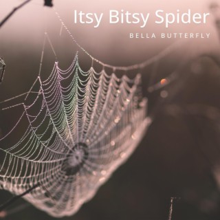 Itsy Bitsy Spider