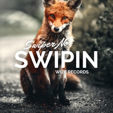 Swiper No Swipin | Boomplay Music