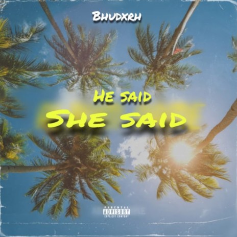 He Said She Said | Boomplay Music