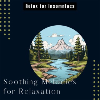 Soothing Melodies for Relaxation: Music for Spa, Study, Sleep, and Wellness