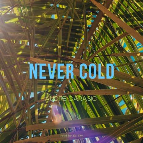 Never Cold | Boomplay Music