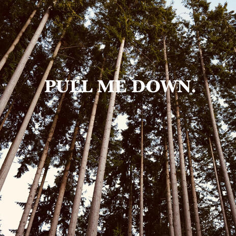 Pull Me Down. ft. ZARA TAYLOR | Boomplay Music