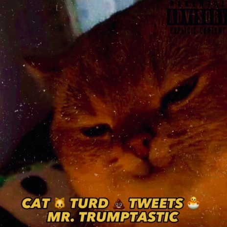 Cat Turd Tweets | Boomplay Music