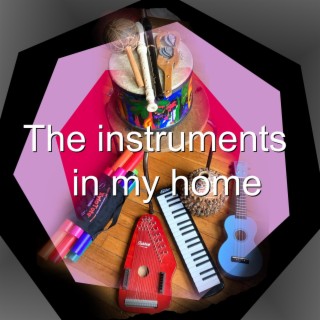 The instruments in my home
