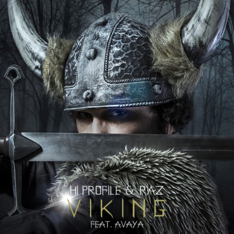 Viking (Original Mix) ft. RAZ & Avaya | Boomplay Music