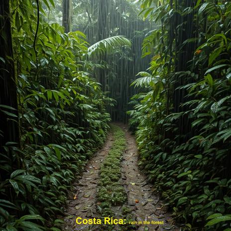 Costa Rica: rain in the forest