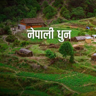 Nepali Dhun (Makhamali Phoolai Phoolera)