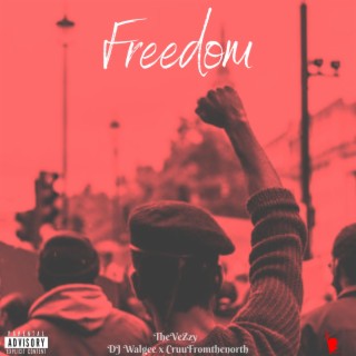 Freedom PtII (feat. DJ Walgee & CruufromtheNorth)