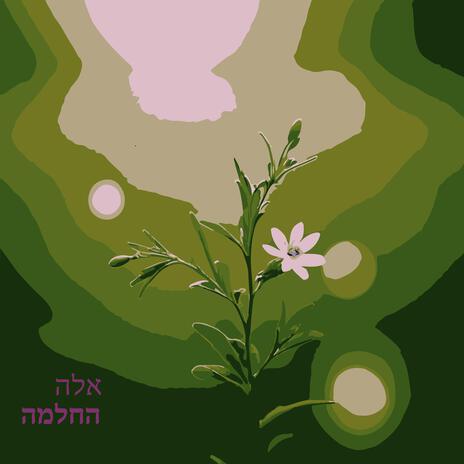 החלמה | Boomplay Music