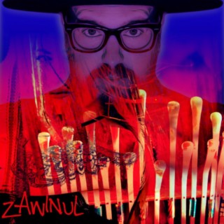 Zawinul X