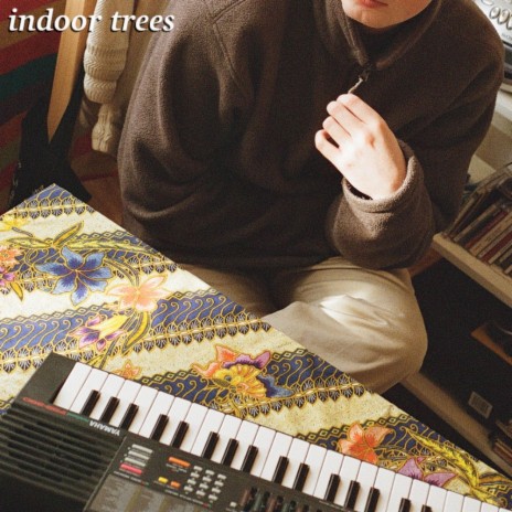 Indoor Trees | Boomplay Music