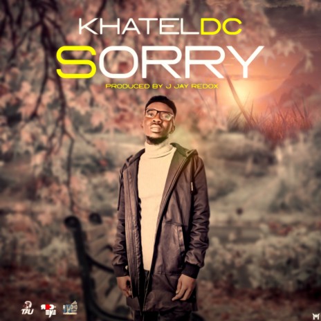 Sorry | Boomplay Music